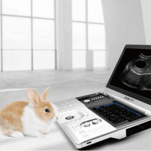 Φορητός Υπέρηχος D5