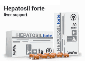 Hepatosil Forte 30tabs