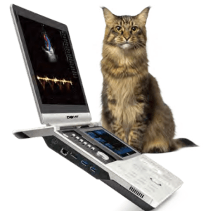 Φορητός Υπέρηχος D8