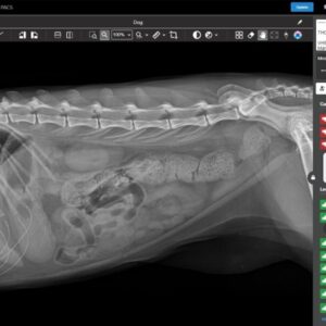 Picoxia Ακτινολογικό διαγνωστικό πρόγραμμα Τεχνητής Νοημοσύνης