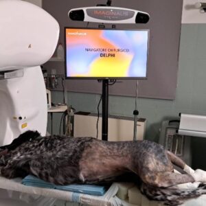 Delphi Navigation Συστημα καθοδήγησης χειρουργείου