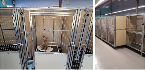 Walk in Kennel Κλουβιά Φιλοξενίας - Image 4