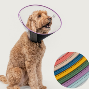 Κολλάρα Ελισάβετ Clear Choice KVP